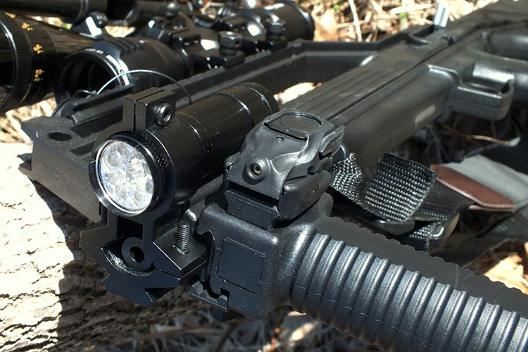 Muzzle end showing bipod fore-end below and light with laser below light. Tanfoglio Appeal Rimfire Rifle.